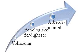 Dette fordi barnets fonologiske korttidsminne kan knyttes til evnen til å ta imot og bearbeide språklyder i arbeidsminnet, og videre lagre representasjonen som en semantisk enhet i langtidsminnet.