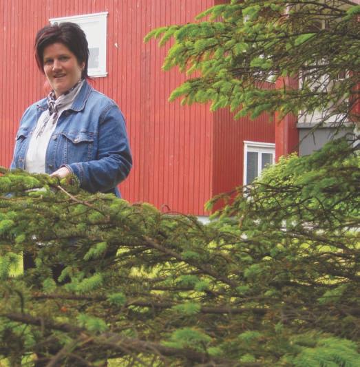 Tema: Eldrarøkt KUNNING FRÁ FELAGNUM komnir til lívsins heystartíð, nýttu teirra ungdóm til at fiska. Teir vóru á útróðr um, sigldu langfarartúrar og so framvegis.