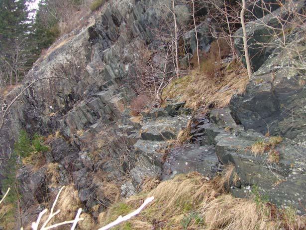 3 5 Grunnforhold Berggrunn Berggrunnen i området består av grønnskifer og amfibolittisk skifer. Foto fig.2 viser øvre del av bergskrenten bak Svartediksvei 14c.