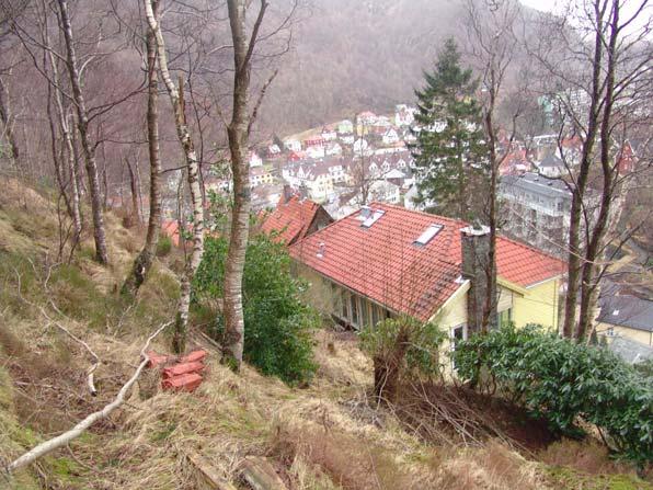 2 normalt fjellsiden (NØ) og steil, tilnærmet vertikalt fall. Det finnes sprekker og stikk med samme strøk, men med sydvestlig fall ca 30-50 o (ut i fjellsiden).