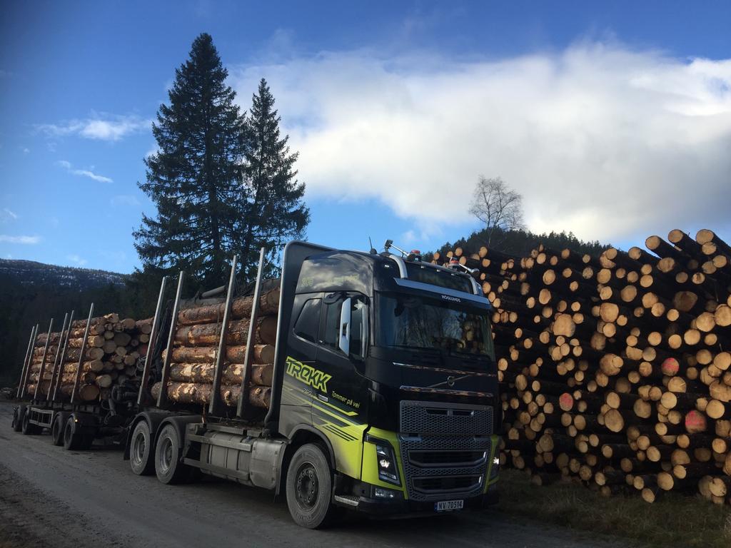 TØMMERTRANSPORT PÅ KOMMUNAL VEG I 2016 og 2017 har Fylkesmannen og Statens vegvesen i samarbeid med kommunene gjennomført en kampanje for å styrke kompetansen om transport av tømmer på offentlig veg