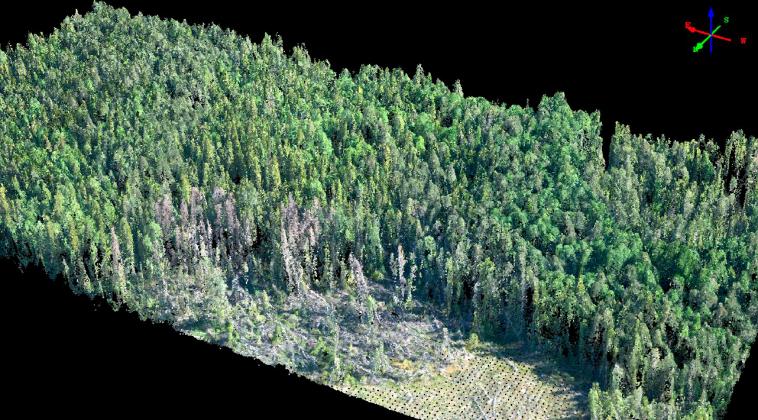 Fylkesmannen administrerer en tilskuddsordning for å stimulere skogbruksplanleggingen. I Telemark blir om lag 50% av kostnadene med en skogtakst finansiert med skogplantilskudd.