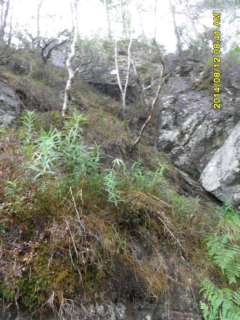 sett mot sørøst Foto: Helge Fjeldstad