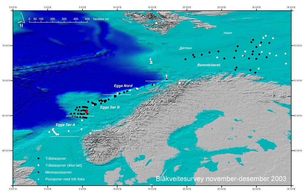Figur 1 Kart med faste trålstasjoner, posisjoner med fritt fiske, og merkeposisjoner, brukt under blåkveiteundersøkelser med F/T Havbryn, november-desember 2003,