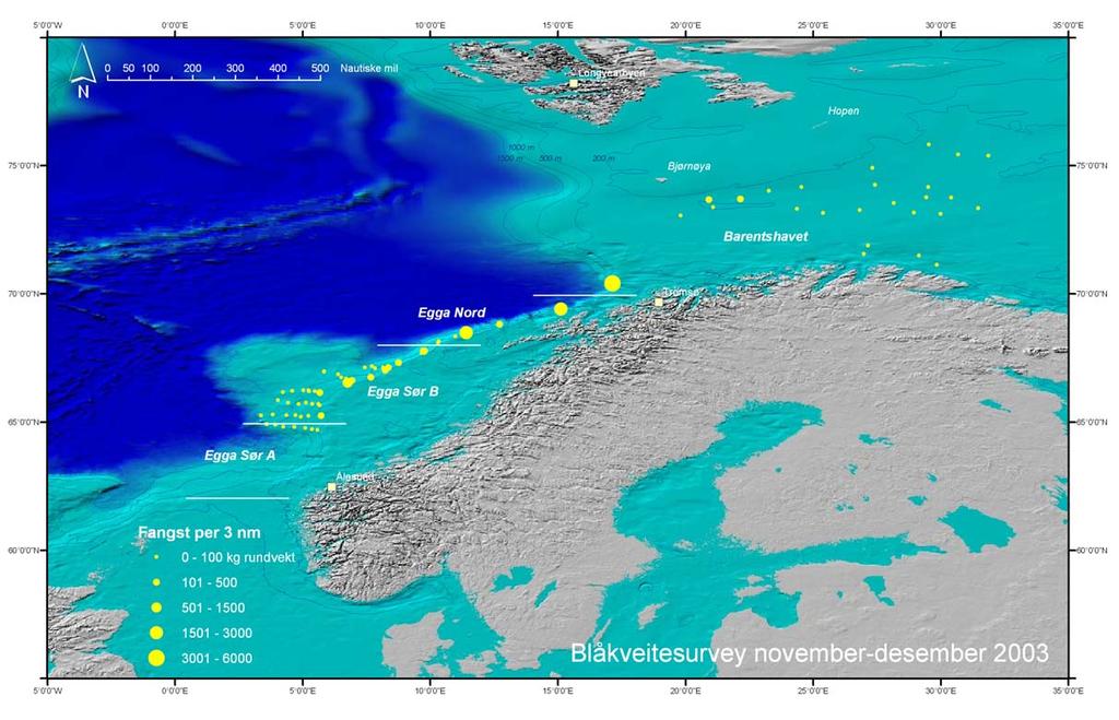 Figur 2 Blåkveiteundersøkelser med F/T Havbryn, november-desember 2003: fangst i kg rundvekt per 3 nautiske mil for hvert