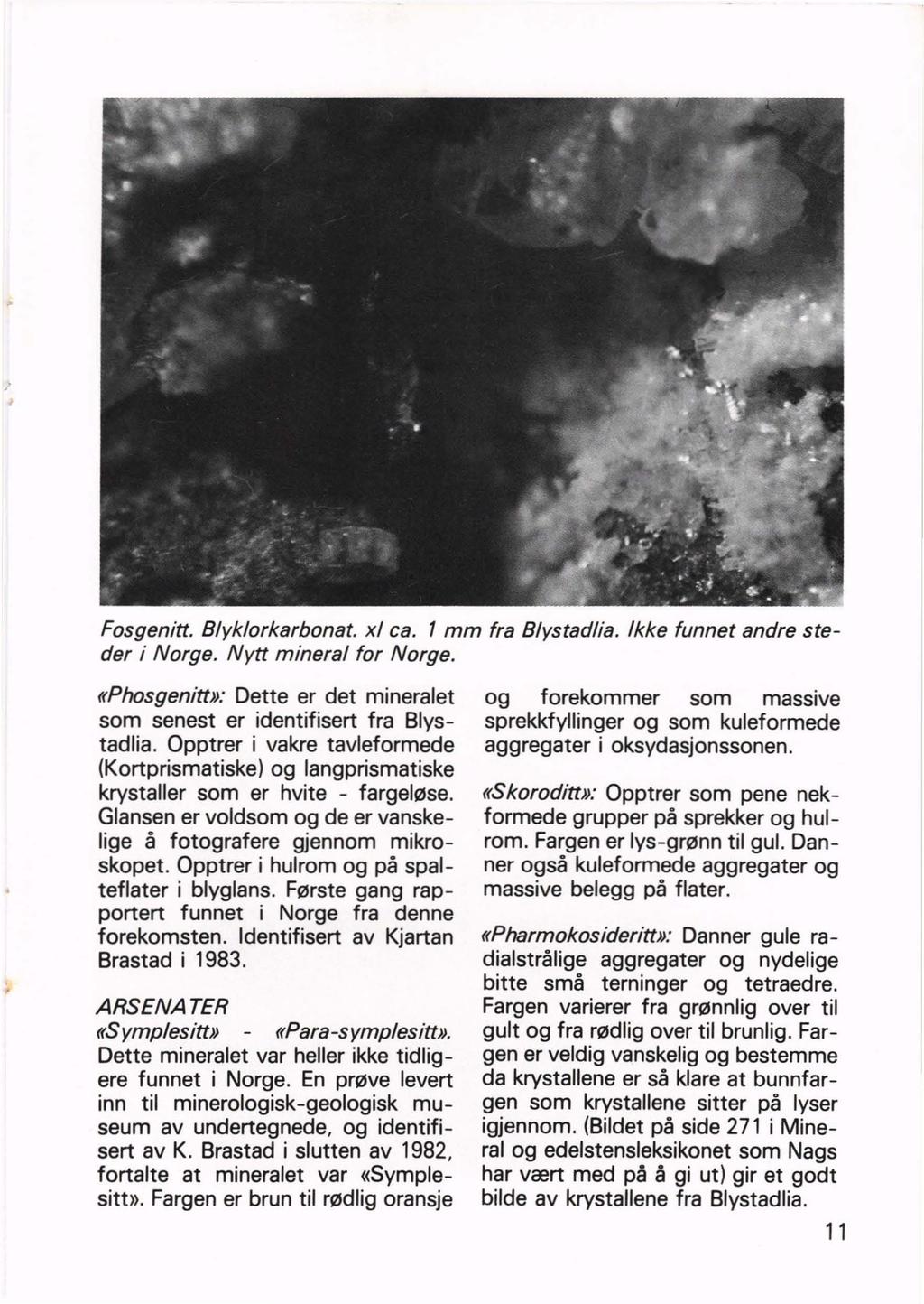 Fosgenitt. Blyklorkarbonat. xl ca. 1 mm fra Blystadlia. Ikke funnet andre steder i Norge. Nytt mineral for Norge. «Phosqenitt»: Dette er det mineralet som senest er identifisert fra Blystadlia.