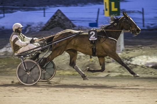 16,5a Eier: Berit Bårli Andreassen Trener: ens ristian Brenne