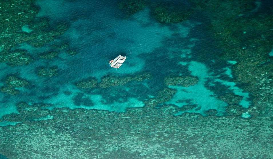 Båttur med katamaran på Great Barrier Reef Dag 5: Cairns - Mission Beach På veien fra Cairns til Mission Beach kjører dere gjennom spennende landskap og besøker noen imponerende attraksjoner.