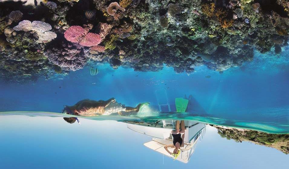 Snorkling på revet. Foto: Queenslant Tourism and Events stranden. Det er også mulig å bli med på en båttur til Noosa Everglades, som huser noe av Australias vakreste villmark.