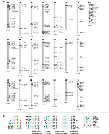 Fig. 2 Reference allergen map of bread wheat.