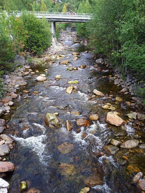 Fig. 8. Venstre: Solheimselvas nedre del. Høyre: Utløpsområdet til Solheimselva inn i Krøderen. Gulsvikelva, vestre løp Elva har lav høydegradient fra Krøderen og opp til første foss etter ca 450 m.