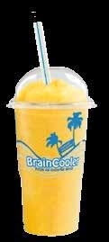 BRAINCOOLER STARTPAKKE: 3-kammers LAGUNA FastFreeze