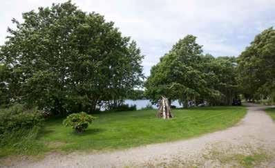 Et stort antall småbarnsfamilier valgt seg Eivindsholen som sitt bosted, og det er enkelt