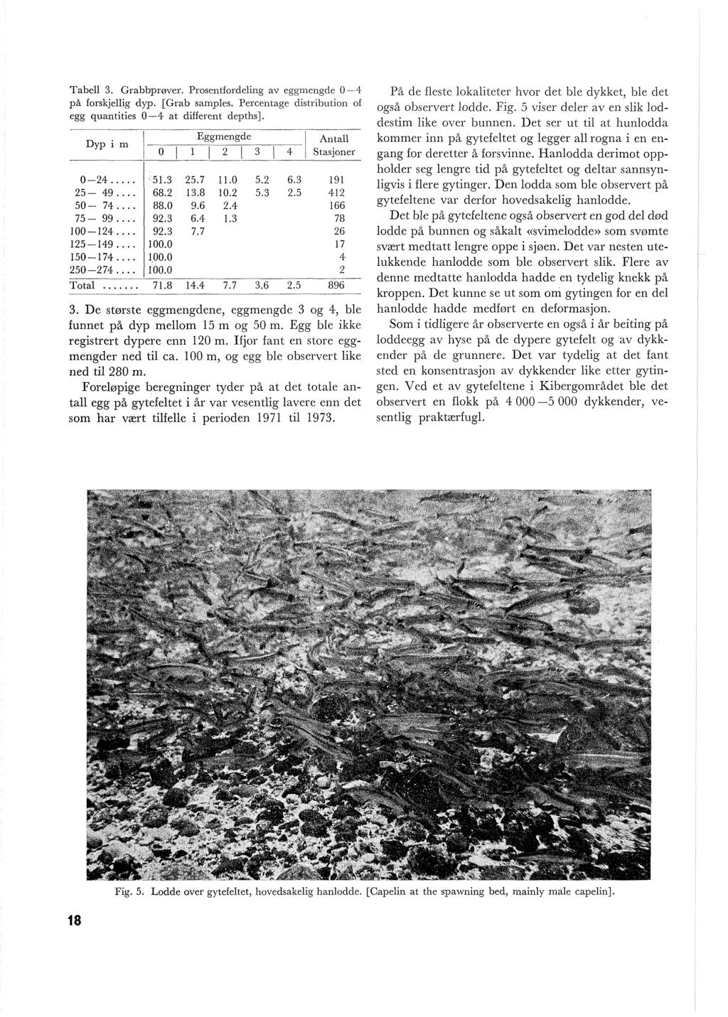 Tabell 3. Grabbprøver. Prosentfordeling av egginengde 0-4 På de fleste lokaliteter livor c1et ble dykket, ble det på forskjellig dyp. [Grab san~ples. Percentage distribution of også observert lodde.