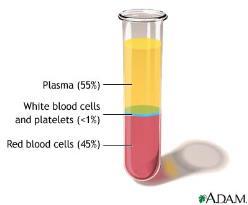 Repetisjon blodet Blod = plasma + blodceller Plasma Vann Proteiner, f.eks.