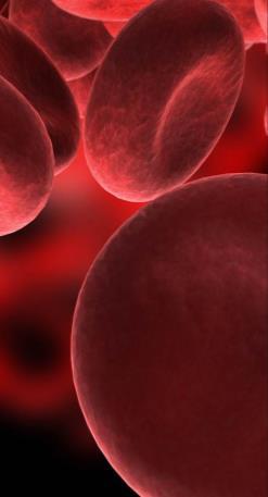 benmargen, som ved systemiske infeksjoner og kreft Tap av røde blodceller Blødning Økt nedbrytning av røde blodceller