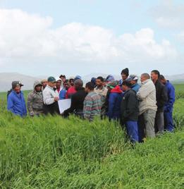 Overberg Agri Geïntegreerde Jaarverslag Op 28 Februarie was 322 begunstigdes, waaronder 58 plaaswerkers, formeel geregistreer.