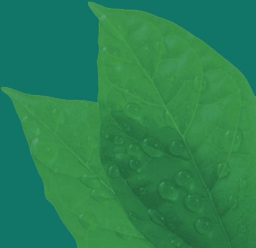 ISO 9001:2015 SYSTEMSERTIFISERT Hjelp oss å bli grønnere