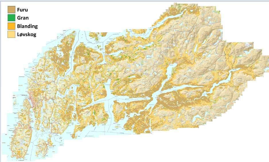 4.6 UTMARKSBRANN 4.6.1 Grunnlagsdata Regionen er ikke «tunge» på skogbruk, men det dominerende treslaget er furu.