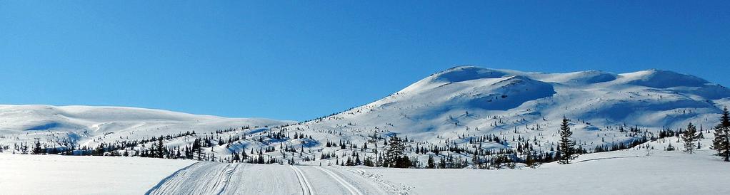 En informasjonsavis fra Blefjell løypeforening l januar 2019 Løypekjøringen utvides denne vinteren Blefjell løypeforening tar konsekvensen av at stadig flere er på hyttene i uke dagene.