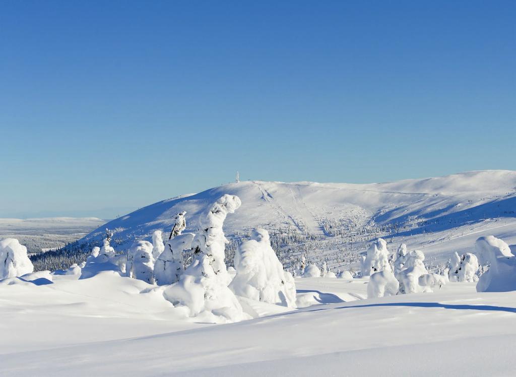 Bo på fjellet Utsikt mot Trysilfjellet fra tomteområdet. På 930 meters høyde er det bare å åpne døra og gå rett ut på fjellet. Utsikten er fenomenal!