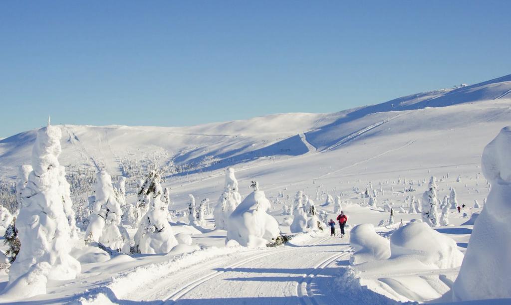 Vinter i Trysil Trysilfjellet er landets største alpinanlegg med 31 heiser og 68 velpreparerte