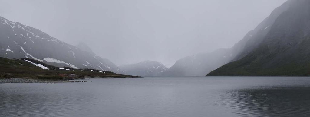 Vannregionen huser fjellområder, innlandsområder med landbruksvirksomhet, tradisjonelt kystlandskap og byer med sterk befolkningsvekst, som hovedstaden Oslo er et godt eksempel på.