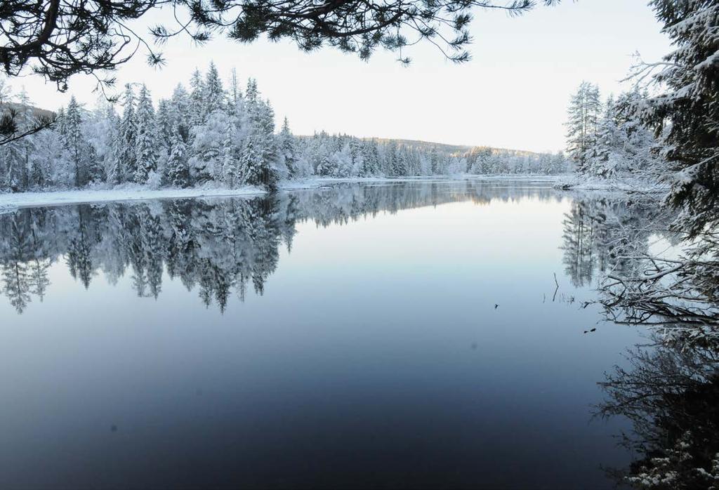 3. Tiltak for å nå miljømålene Det er foreslått en rekke tiltak som anses som nødvendige for at vannforekomstene skal opprettholde eller nå miljømålene.