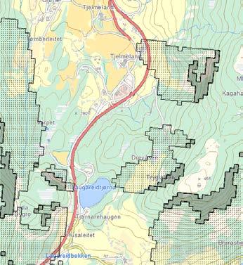 2.2 Naturbaserte farar 2.2.1 Ras/ skred Steinsprang, snø, sørpe og lausmasseskred frå naturleg terreng Planområdet er i følgje www.skrednett.no utsatt for snøskred.