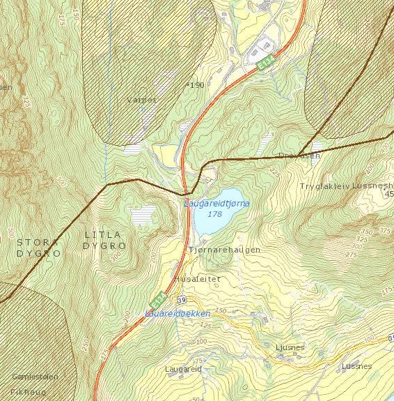 E136 går rett gjennom desse tre beiteområda, og vilt kan befinna seg i vegen.