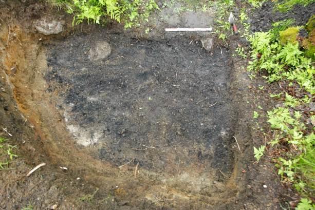 Kullaget ble datert til 1300-1420 e.kr. Prøven var fra bjørk. Kullgrop ID 138523 Gropa er svært stor, og med en tydelig voll fremstår den som en haug i terrenget.