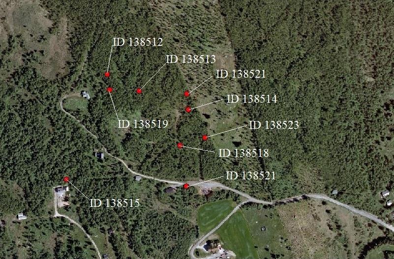 2. Ortofoto over undersøkelsesområdet (Kartgrunnlag: www.gislink.no).
