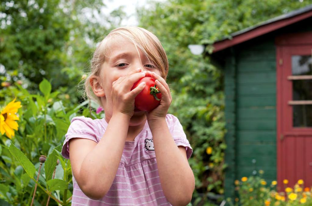 Gjødselen inneholder mikroorganismer som stimulerer humuslaget og løser opp bakken. MyccoVital (mykorrhiza = naturlig sopprot) inngår også. Det styrker blomster, grønnsaker o.l. ved at vann og næringsstoffer føres rett inn i røttene.