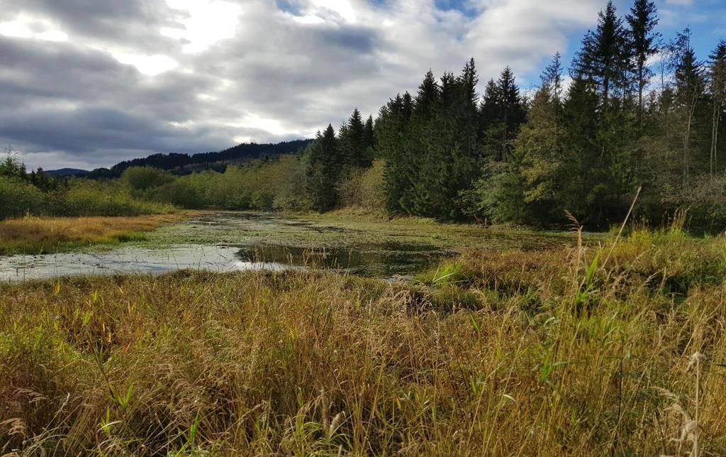 Bilde 16. Gammelt sideløp til Orkla i nedre del av Solavassdraget. Foto: Øyvind Solem. Bilde 17.