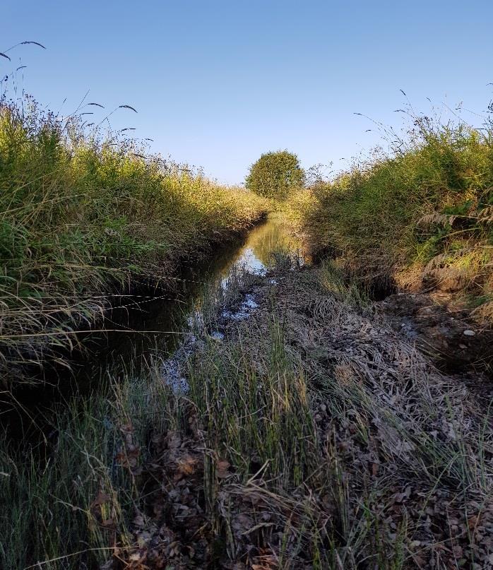 Leirbekken er 3-5 meter bred og domineres av strykstrekninger med innslag av stryk. I midtre deler er det også en del partier med sakteflytende vann og mer innslag av mudderbunn.