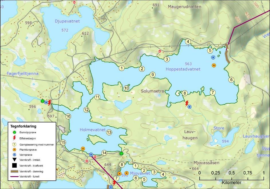 Hoppestad/Holmevatnet Innsjønummer (nve) 7609 Vannmiljø 015-26337 Vassdragsnummer 015.