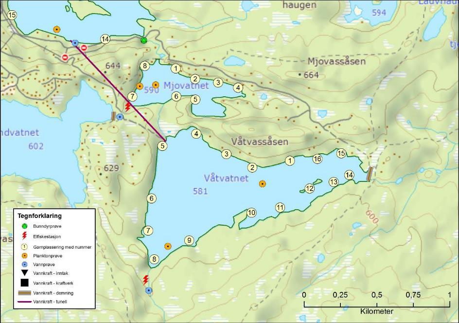 Våtvatnet Innsjønummer (nve) 399 Vannmiljø 015-9680 Vassdragsnummer 015.F2B Høyde over havet 581 Overflateareal 0,69 km 2 10 meter Indirekte via flere kalkede tjern som drenerer til gytebekk.