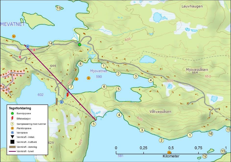 Mjovatnet Innsjønummer (nve) 402 Vannmiljø 015-10083 Vassdragsnummer 015.