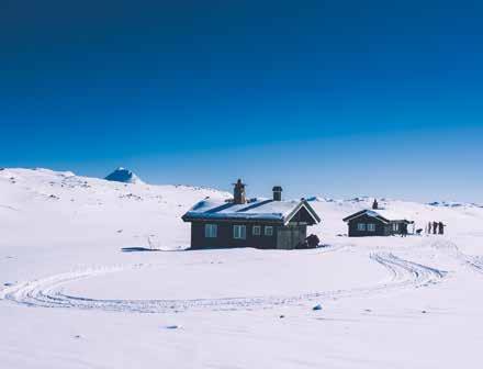 Jotunheimen Olavsbu, 52 senger Thomashelleren, 14 senger Torfinnsbu, 25 senger Yksendalsbu, 18 senger Hardangervidda Helberghytta, 16 senger Hellevassbu, 26 senger Lufsjå, 14 senger Lågaros, 38