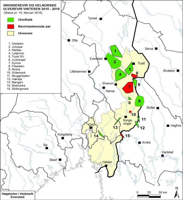 Status Norge Statusrapport juni 2016 rekordmange ulvekull 7 helnorske ynglinger