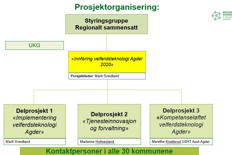 Hvordan bistår prosjektet kommunene?