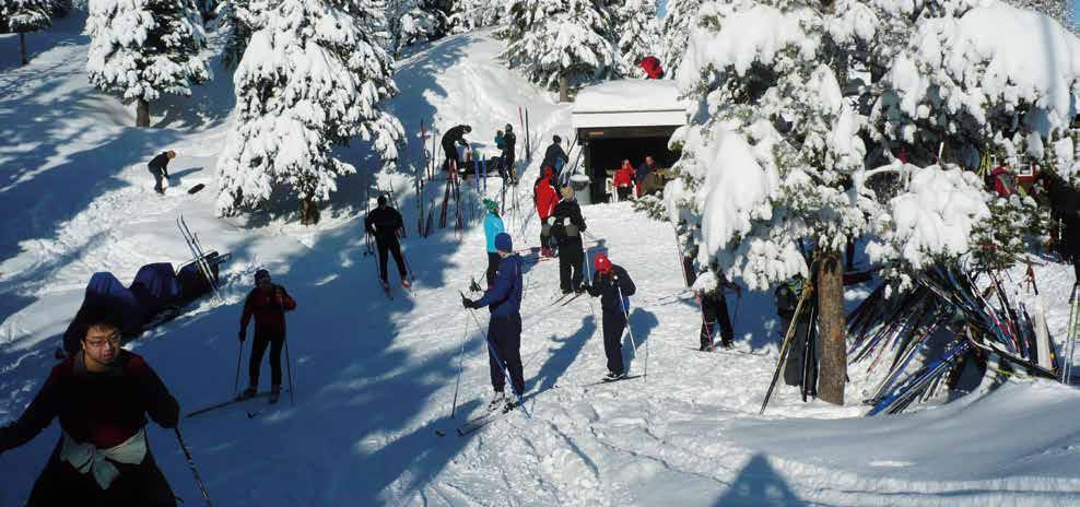 Trondhjems Skiklub ønsker god tur! 16 flotte merkede turer i Trondheims markaområder og turterreng! Det er 54 år siden vi i Trondhjems Skiklub arrangerte Dagens Løype for første gang.