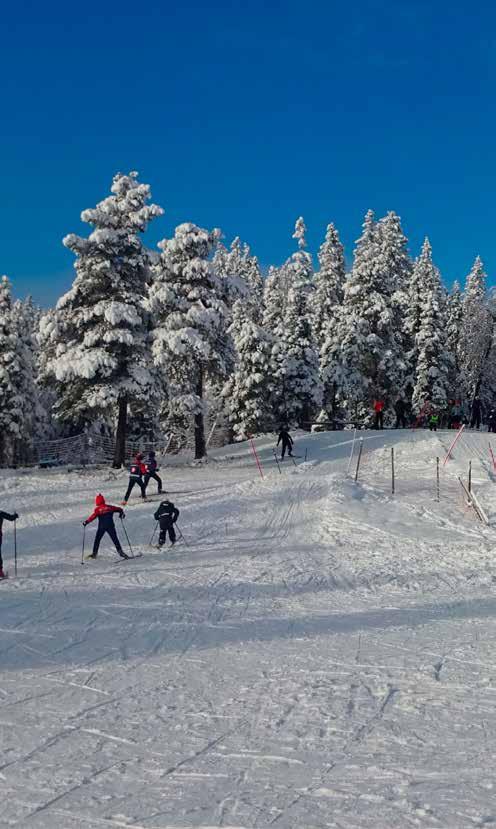 MARKATRIMMEN 2019 - LØRDAG 9.FEBRUAR - Barnas skiskole - vinterferie 18.-20.februar kl. 08.00 16.