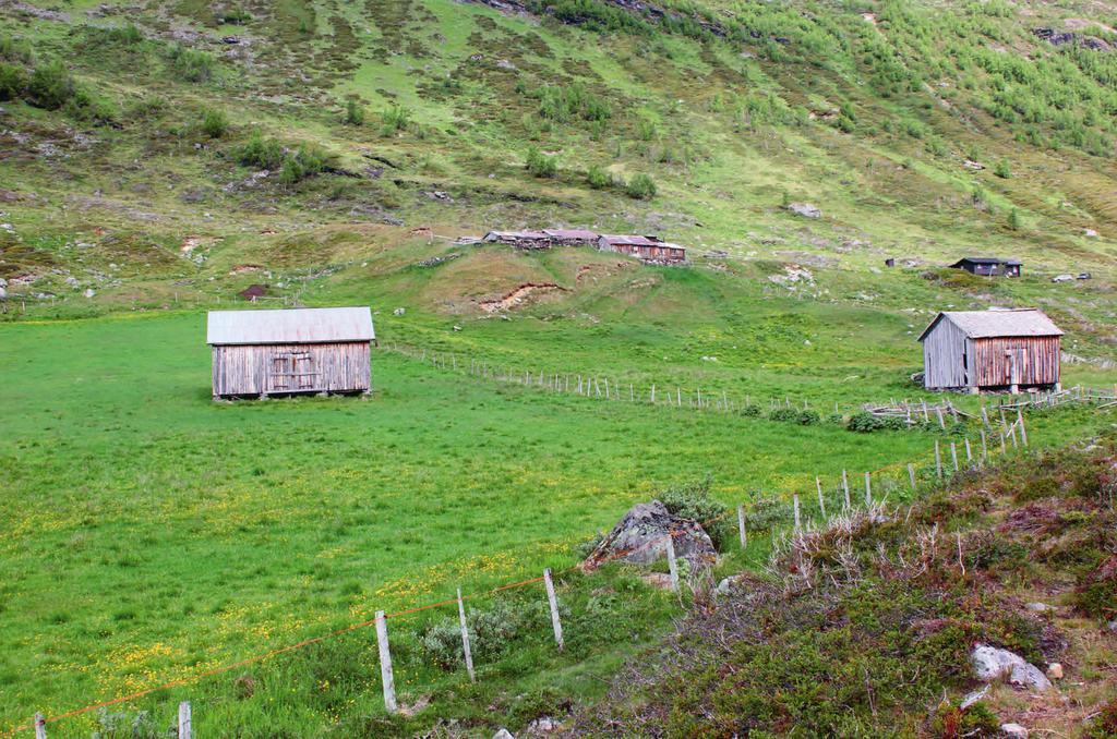 Lom I Lom ligg verneområda i Breheimen på nordvestsida av Bøverdalen, stort sett ovanfor skoggrensa, men også nedanfor nokre stader, som ved Lomseggen.