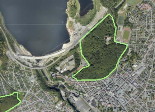 2.2.2 Stasjonsplasseringen er ikke sentral i Larvik og kan være skadelig for Bøkeskogen En stasjonsplassering på Bergeløkka er ikke sentralt plassert i Larvik og vil ha et dårlig potensiale for