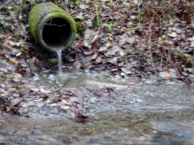 Foto: Punktutslipp av sanitært avløpsvann (kloakk) i Flakkbekken/Råbekken, med toalettpapir og diverse sanitært avfall nedstrøms røret.