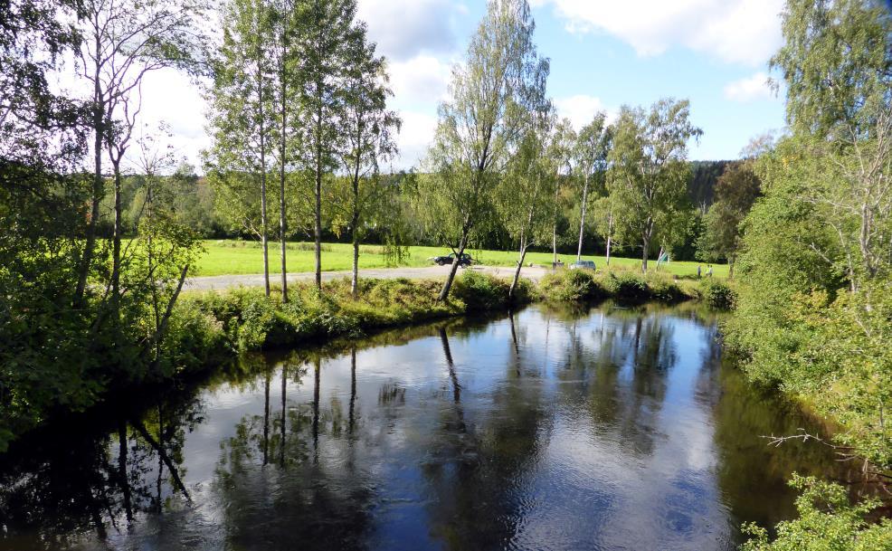 Sørkedalselva Konsekvenser