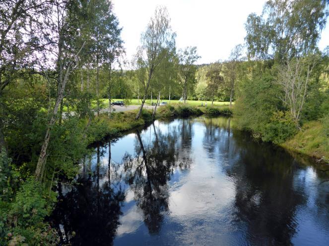 var tidligere en alvorlig trussel. Årsaken til bestandsnedgangen er ulik i de enkelte vassdragene.