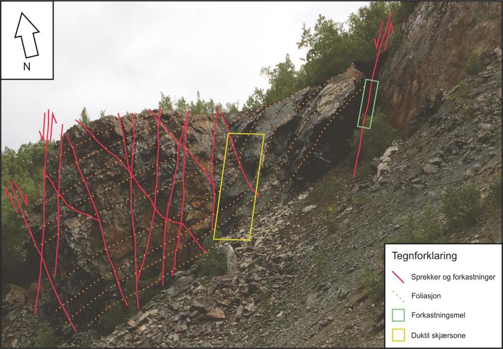 Figur 14: Foto som viser Ramstadforkastningen (øverst til høyre) og hengblokken nord i steinbruddet, som består av folierte kaledonske bergarter kuttet av syn- og antitetiske forkastninger og