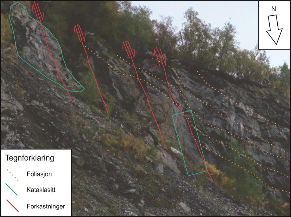 Figur 18: Foto av hengblokken sør i steinbruddet, som viser flere syntetiske normalforkastninger som kutter den varierende foliasjonen i de meta-psammittiske gneisene.